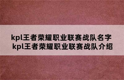 kpl王者荣耀职业联赛战队名字 kpl王者荣耀职业联赛战队介绍